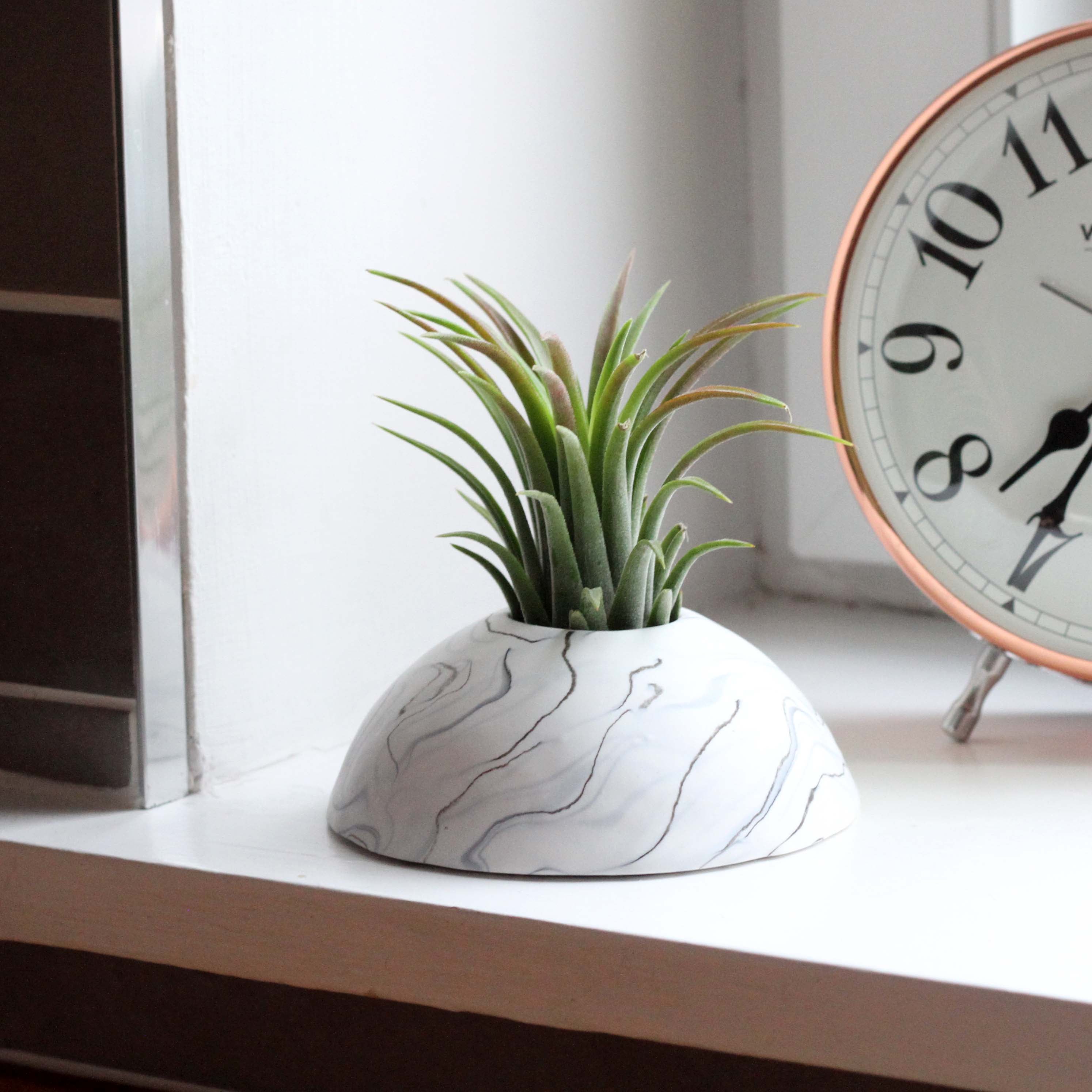 Air Plant holder display dome - Light Marble