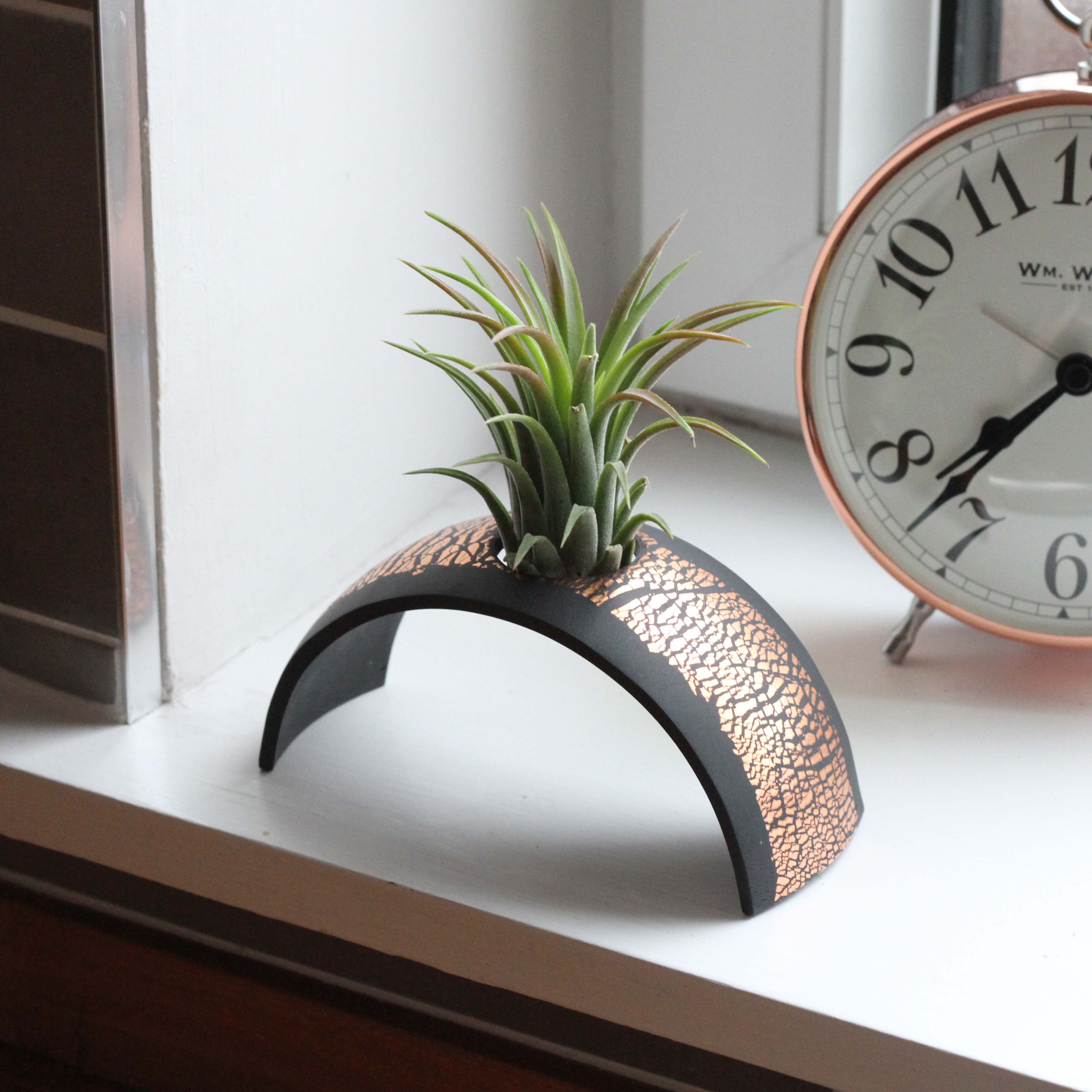 Air Plant holder display arch - Metallic Copper