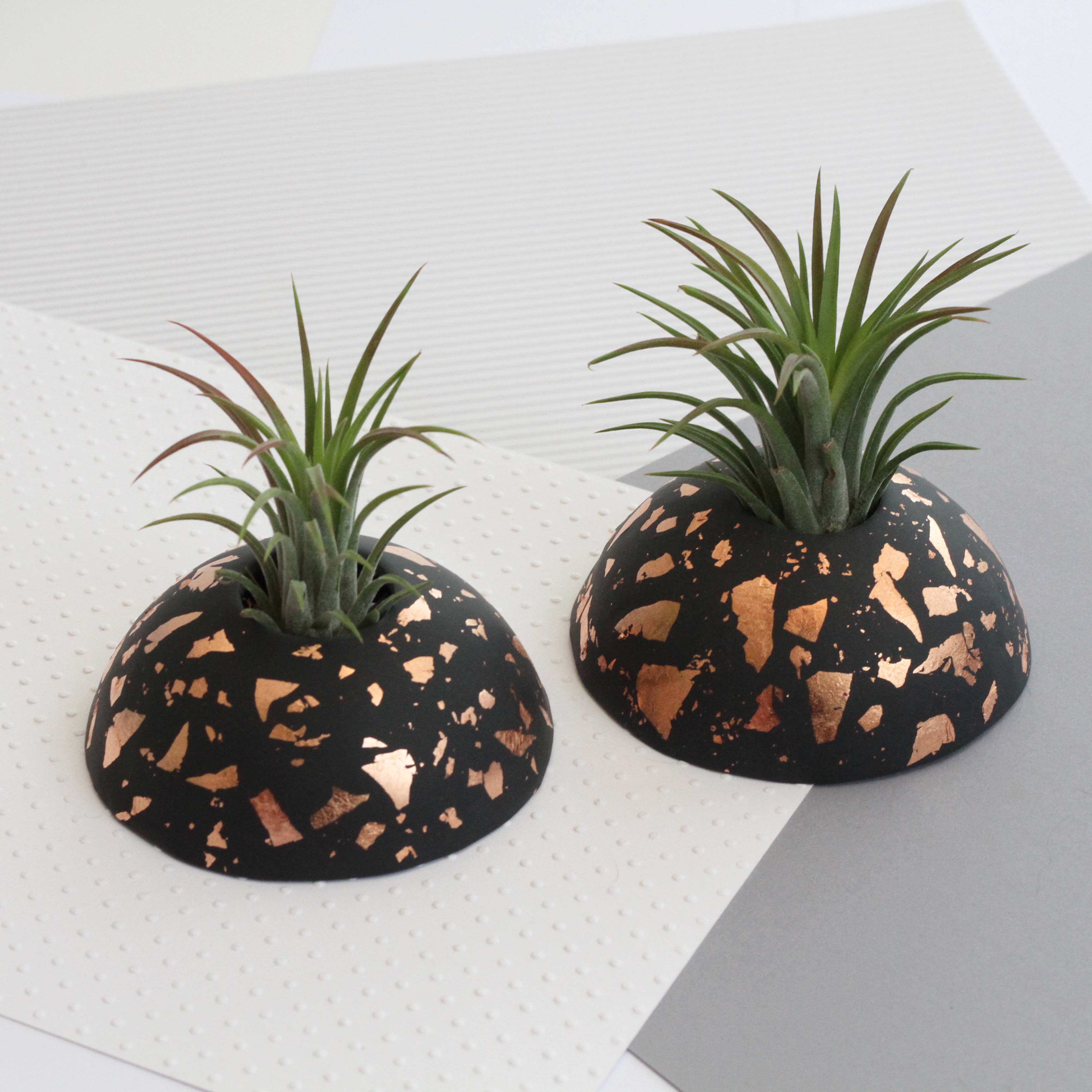 Air Plant holder display dome - Metallic Copper