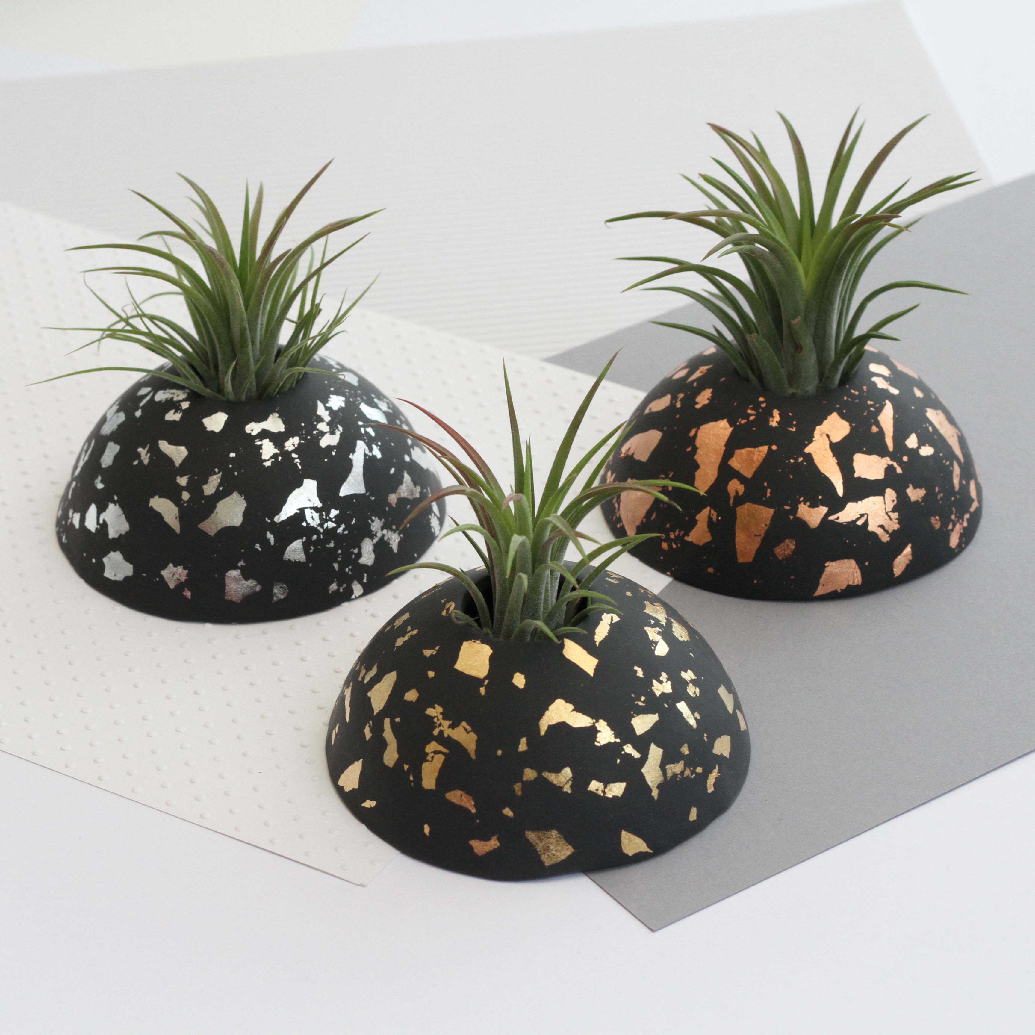 Air Plant holder display dome - Metallic Silver