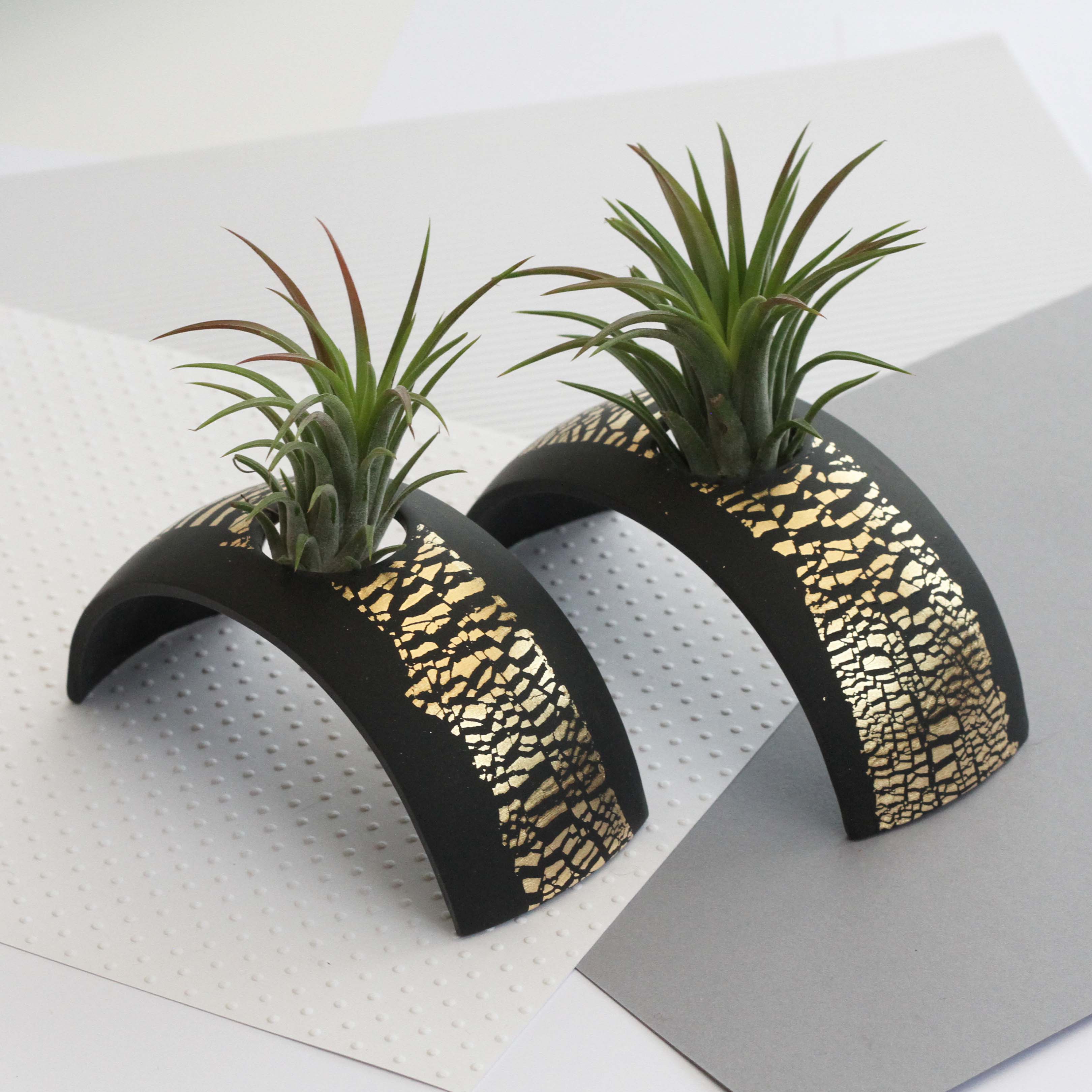 Air Plant holder display arch - Metallic Gold