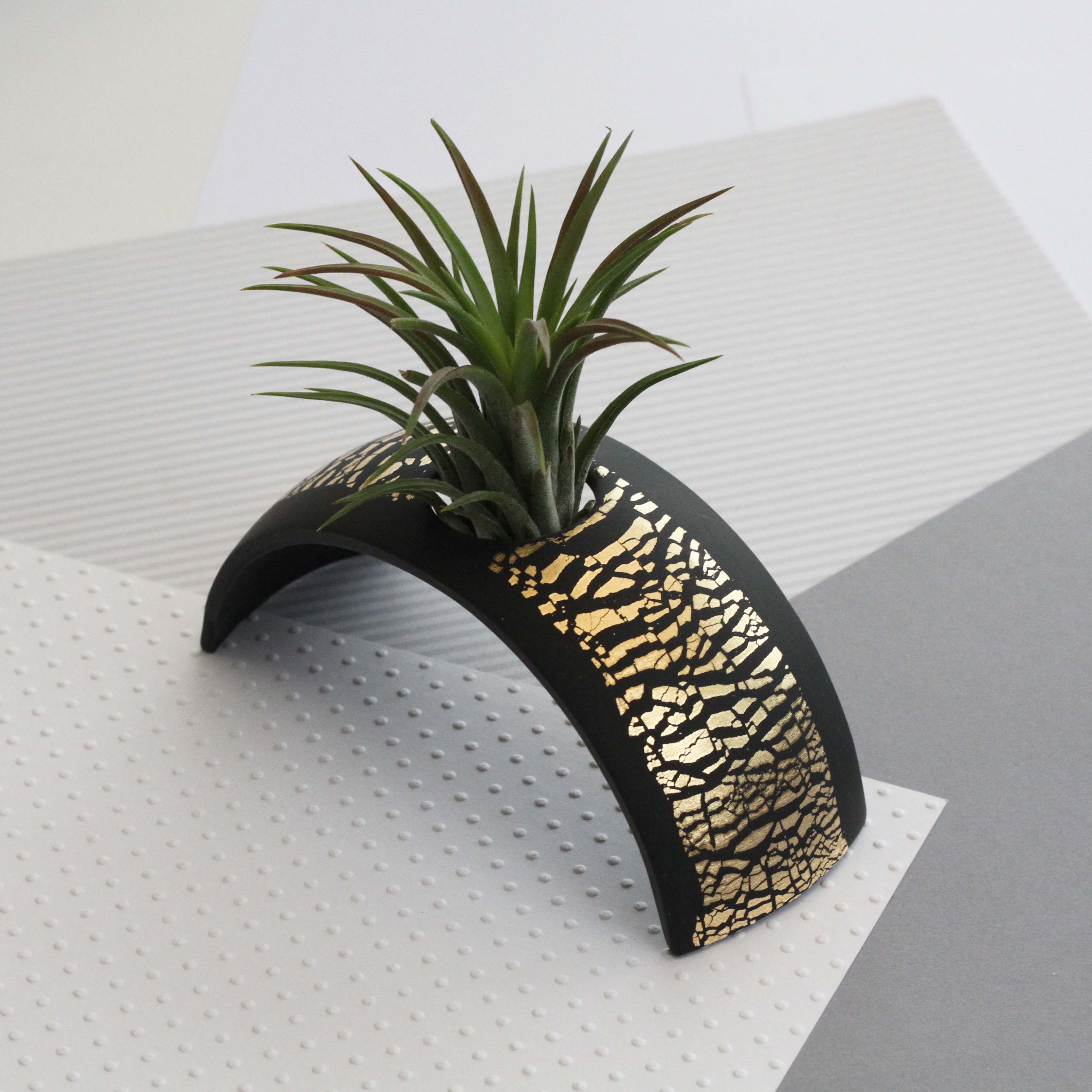 Air Plant holder display arch - Metallic Gold