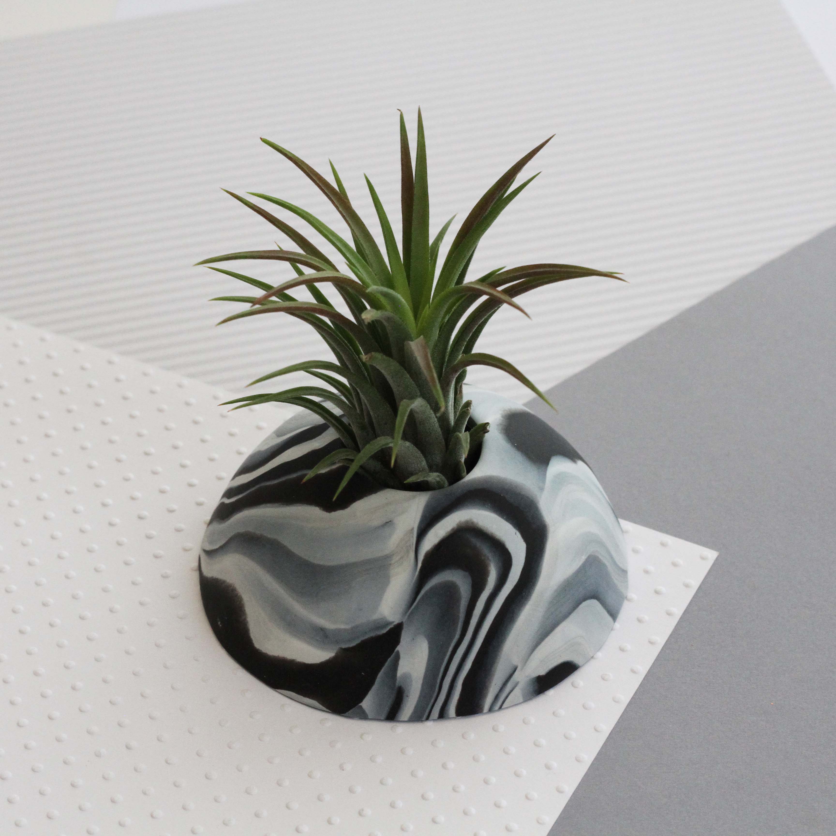 Air Plant holder display dome - Dark Marble