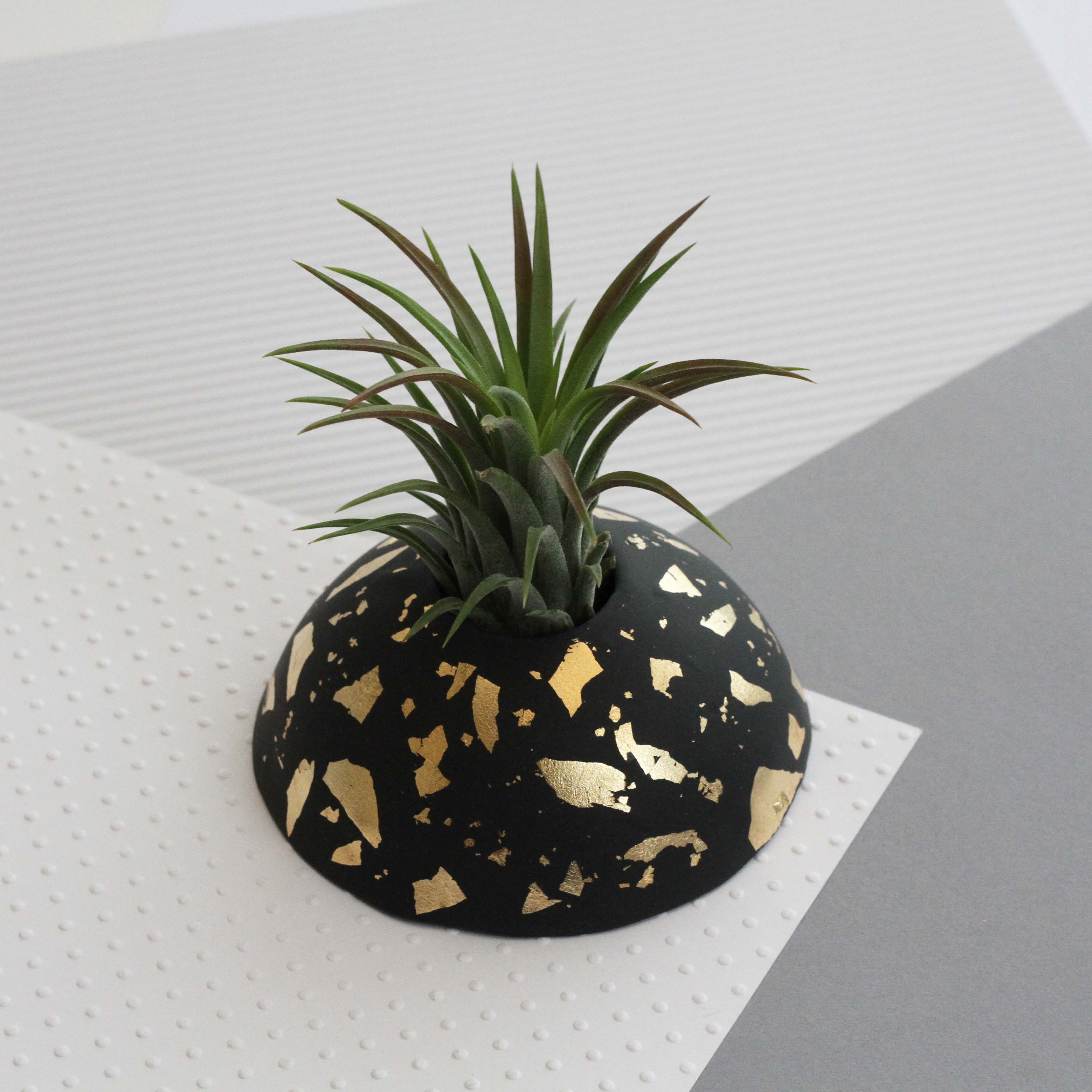 Air Plant holder display dome - Metallic Gold