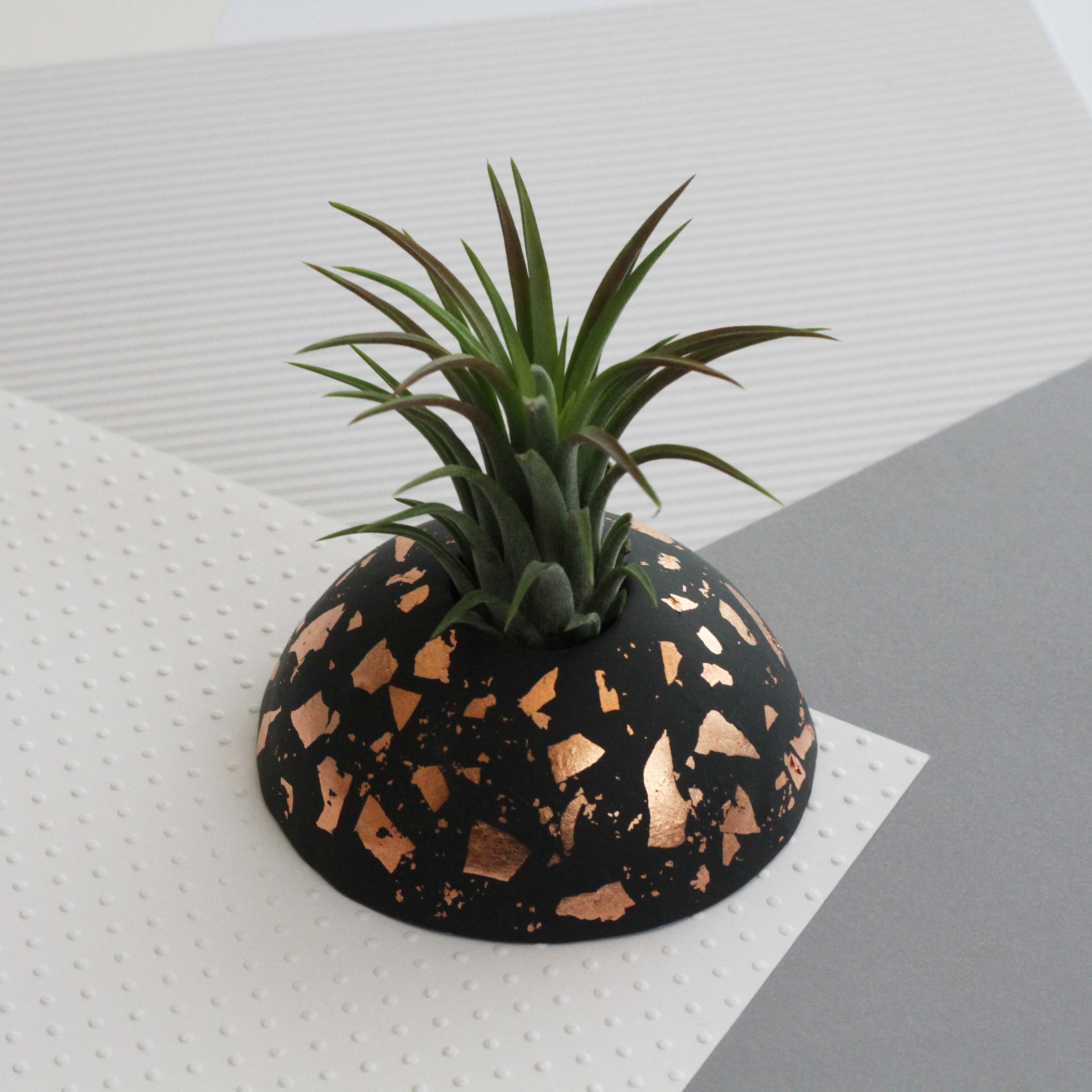 Air Plant holder display dome - Metallic Copper