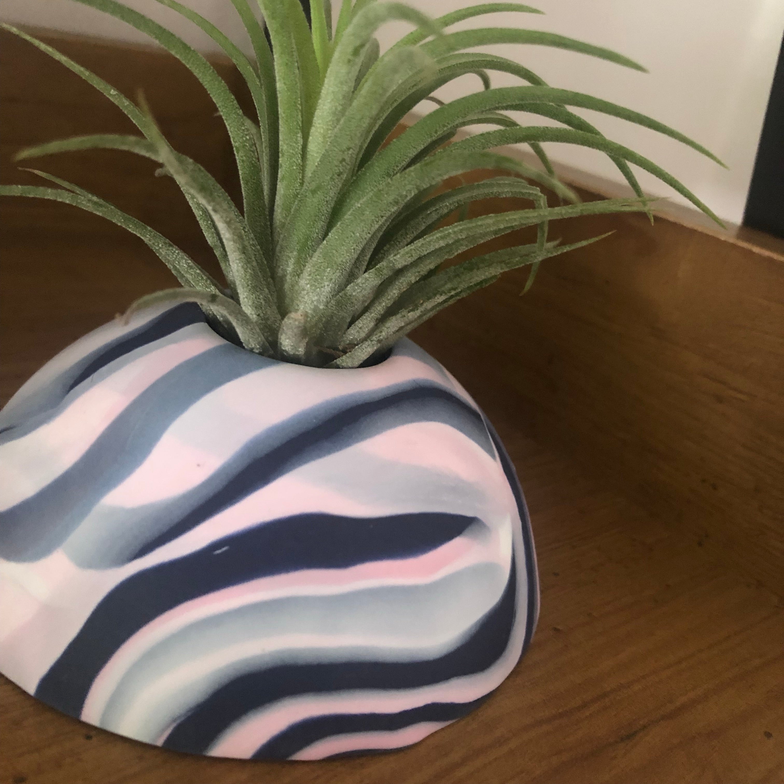 Custom colour Air Plant holder display dome